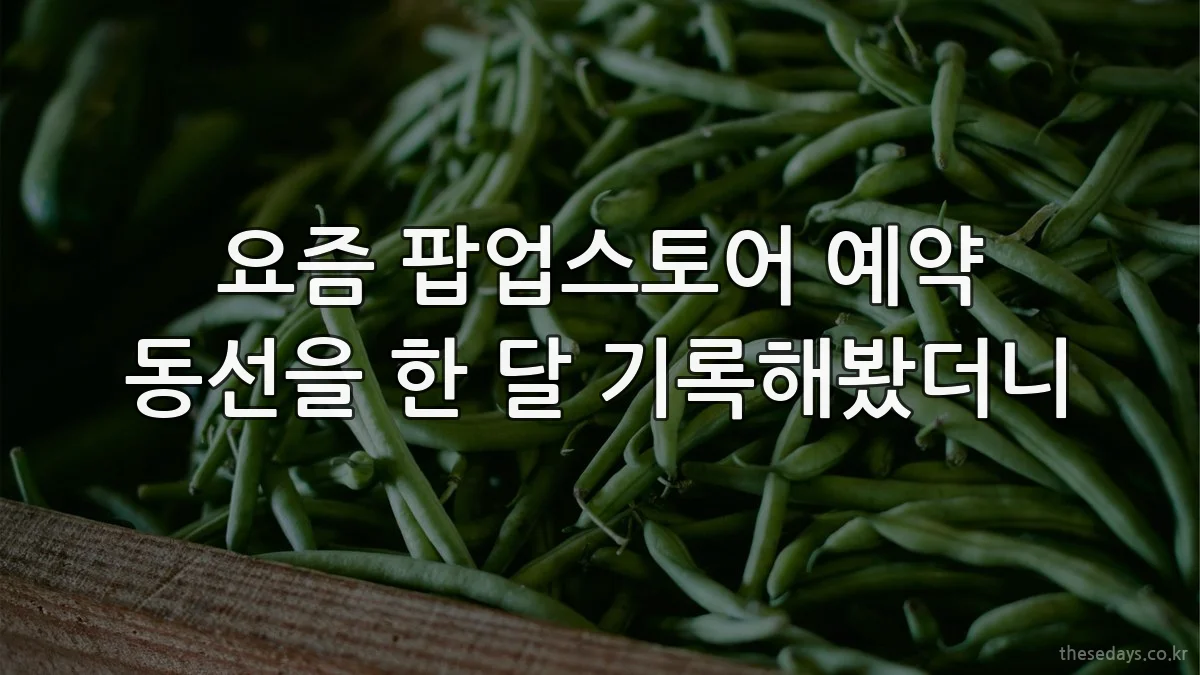 요즘 팝업스토어 예약 동선을 한 달 기록해봤더니