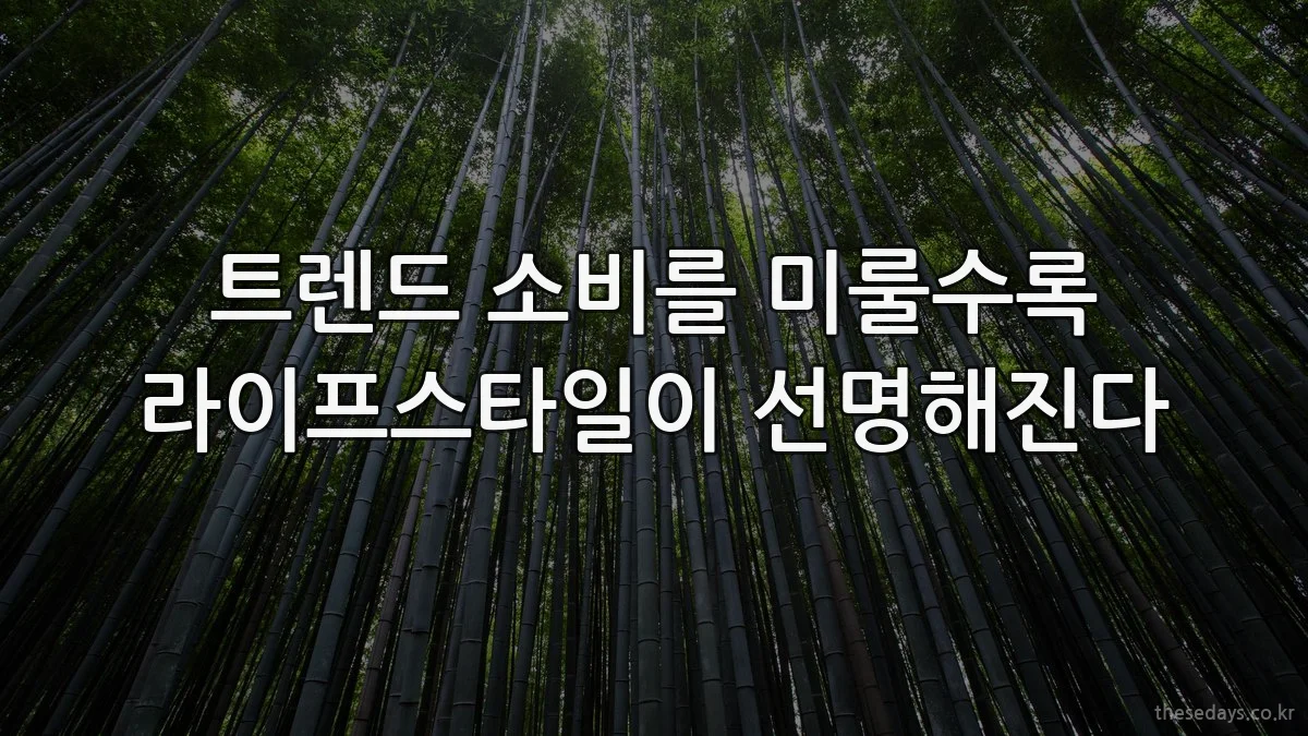 트렌드 소비를 미룰수록 라이프스타일이 선명해진다