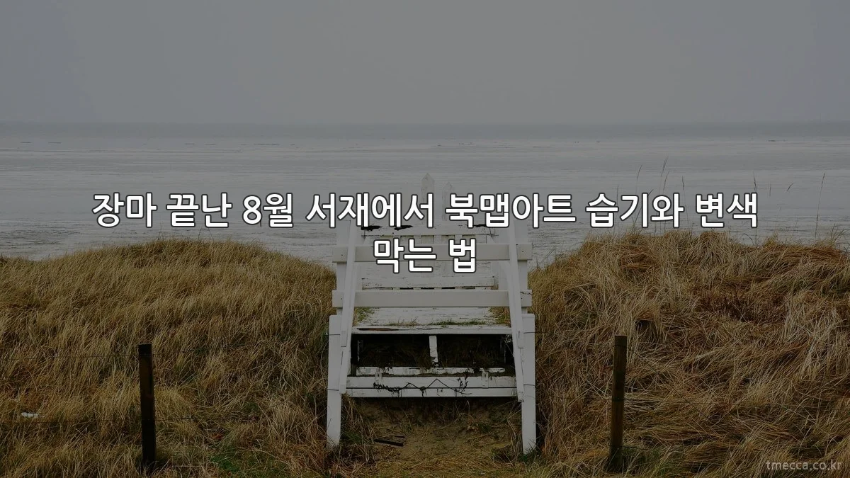 장마 끝난 8월 서재에서 북맵아트 습기와 변색 막는 법