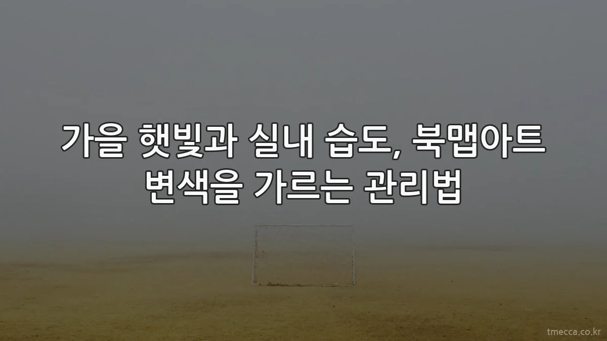 가을 햇빛과 실내 습도, 북맵아트 변색을 가르는 관리법