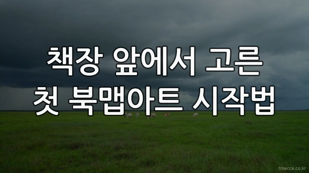 책장 앞에서 고른 첫 북맵아트 시작법