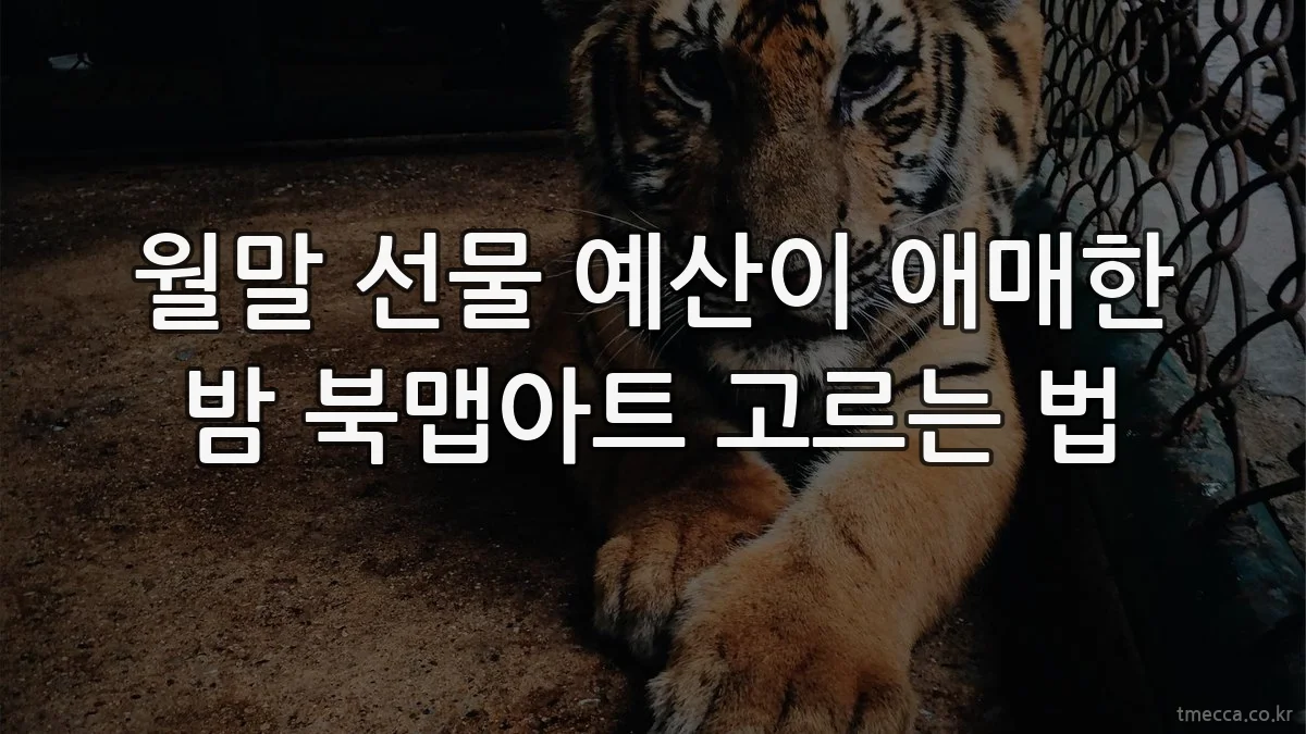 월말 선물 예산이 애매한 밤 북맵아트 고르는 법
