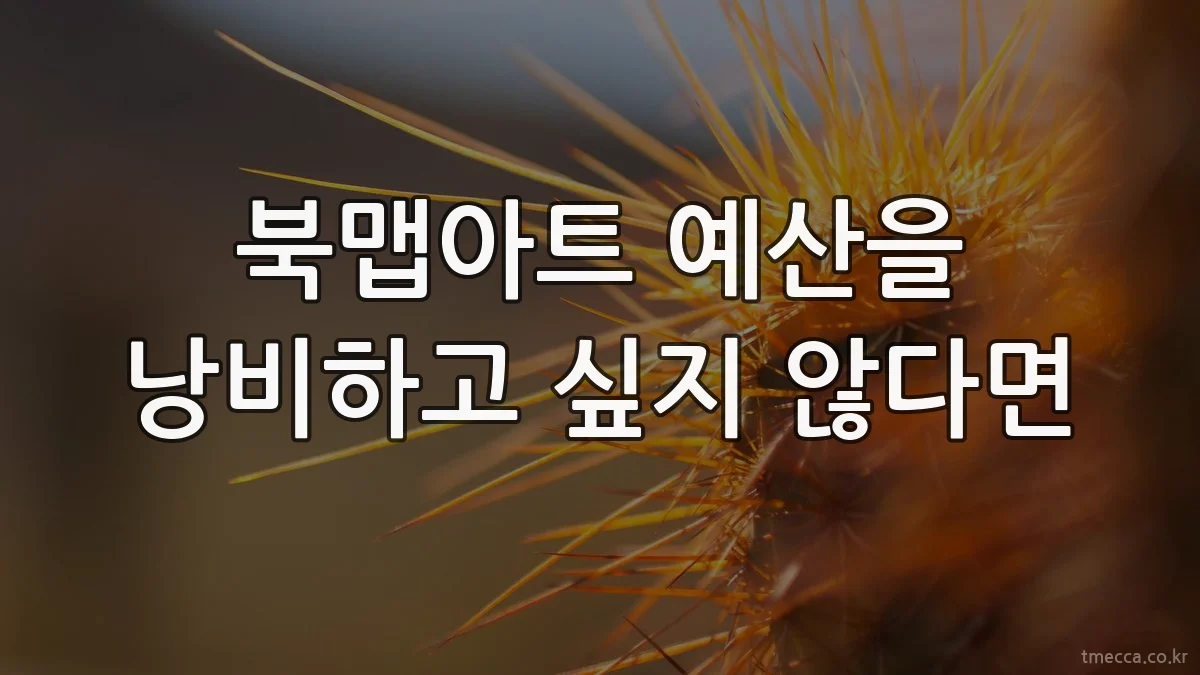 북맵아트 예산을 낭비하고 싶지 않다면