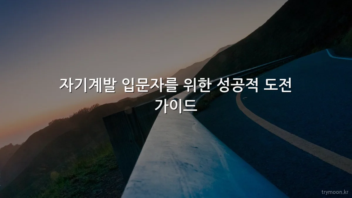 자기계발 입문자를 위한 성공적 도전 가이드