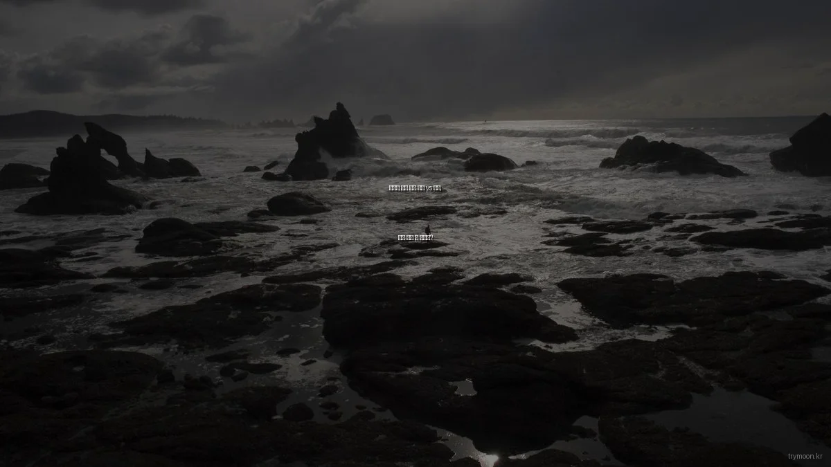 도전적 삶을 위한 독서 vs 경험, 어느 것이 더 나을까?