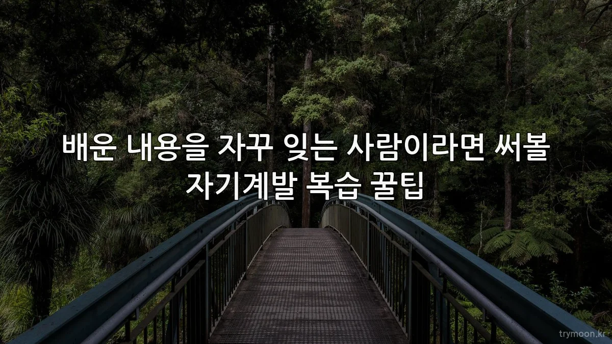 배운 내용을 자꾸 잊는 사람이라면 써볼 자기계발 복습 꿀팁