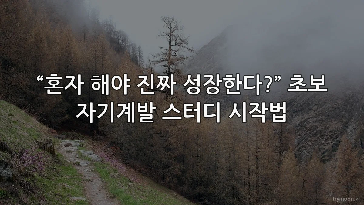 “혼자 해야 진짜 성장한다?” 초보 자기계발 스터디 시작법