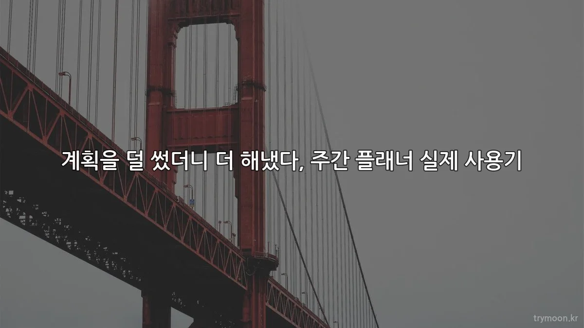 계획을 덜 썼더니 더 해냈다, 주간 플래너 실제 사용기