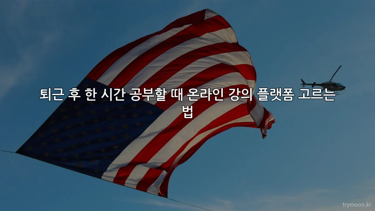 퇴근 후 한 시간 공부할 때 온라인 강의 플랫폼 고르는 법