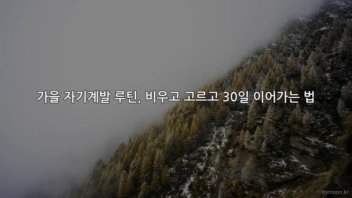가을 자기계발 루틴, 비우고 고르고 30일 이어가는 법