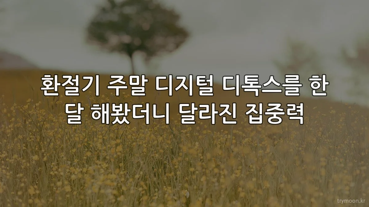 환절기 주말 디지털 디톡스를 한 달 해봤더니 달라진 집중력