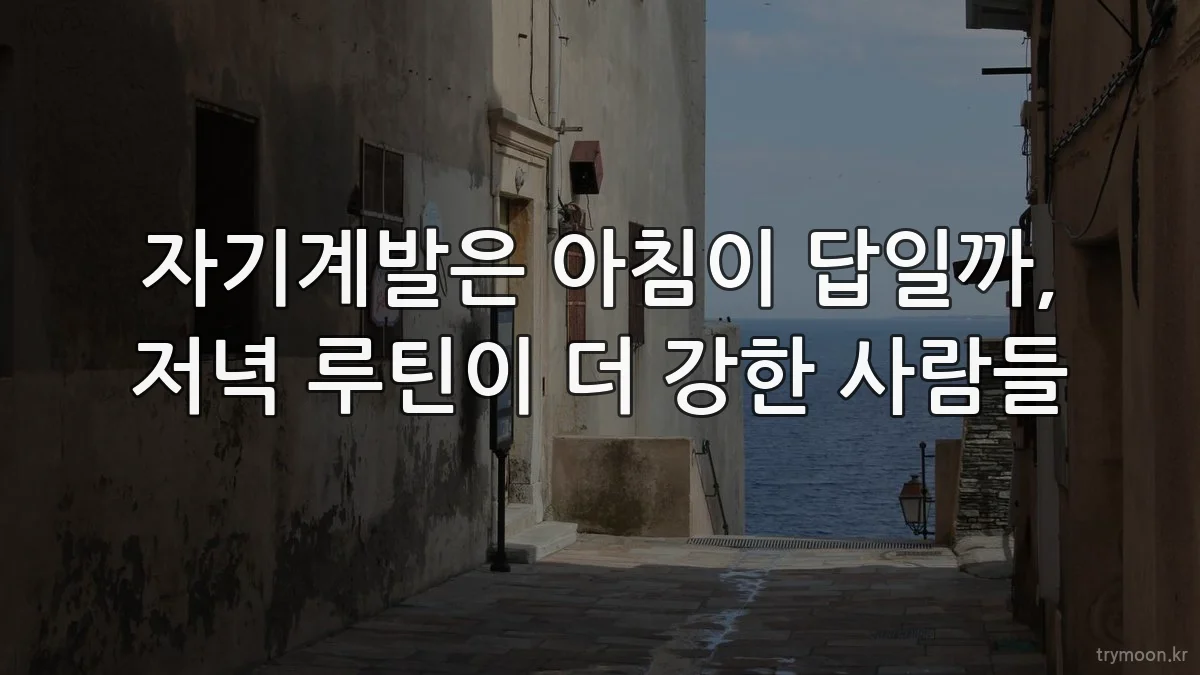 자기계발은 아침이 답일까, 저녁 루틴이 더 강한 사람들