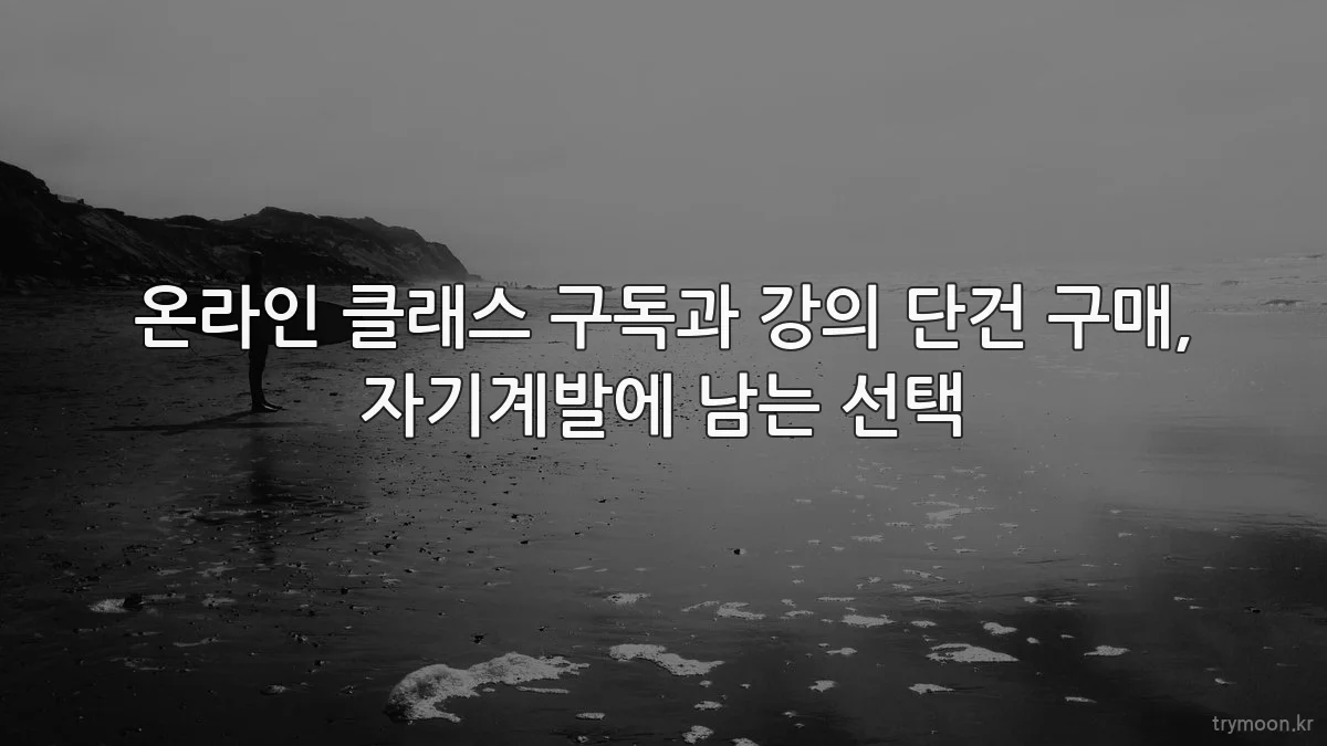 온라인 클래스 구독과 강의 단건 구매, 자기계발에 남는 선택