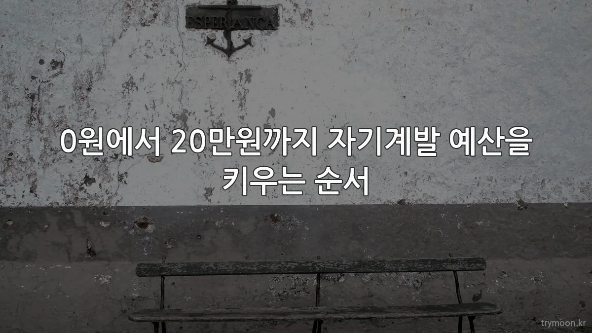 0원에서 20만원까지 자기계발 예산을 키우는 순서
