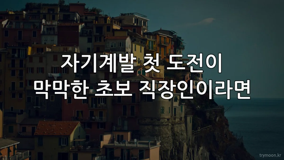 자기계발 첫 도전이 막막한 초보 직장인이라면