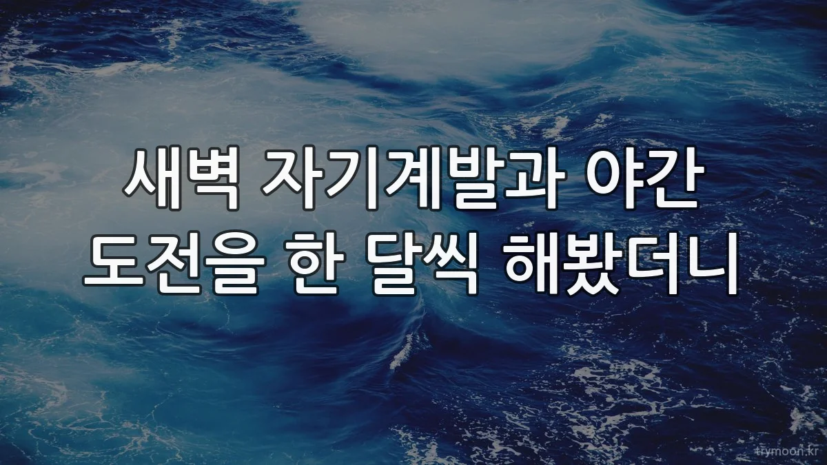 새벽 자기계발과 야간 도전을 한 달씩 해봤더니