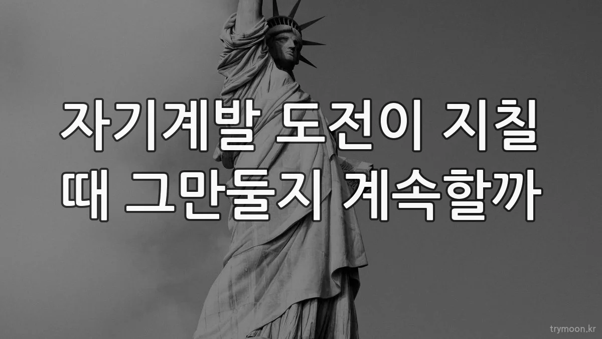 자기계발 도전이 지칠 때 그만둘지 계속할까