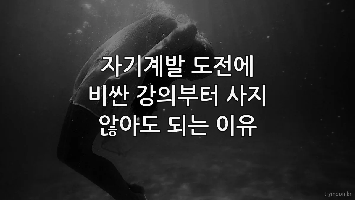 자기계발 도전에 비싼 강의부터 사지 않아도 되는 이유