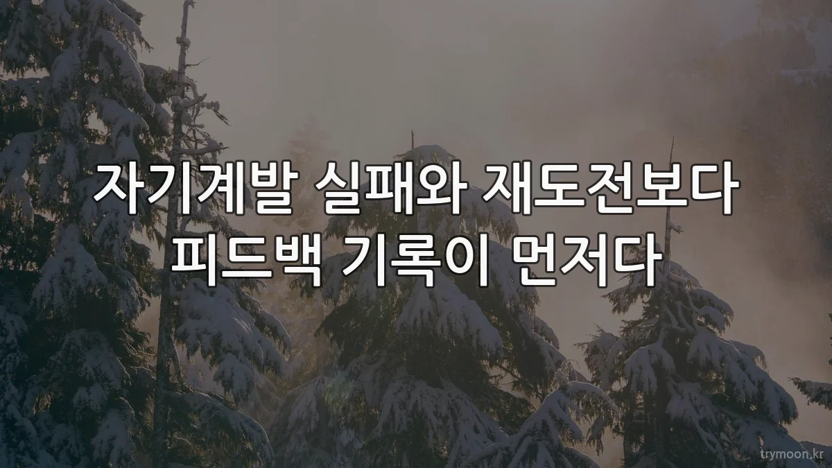 자기계발 실패와 재도전보다 피드백 기록이 먼저다