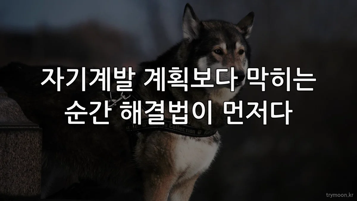 자기계발 계획보다 막히는 순간 해결법이 먼저다