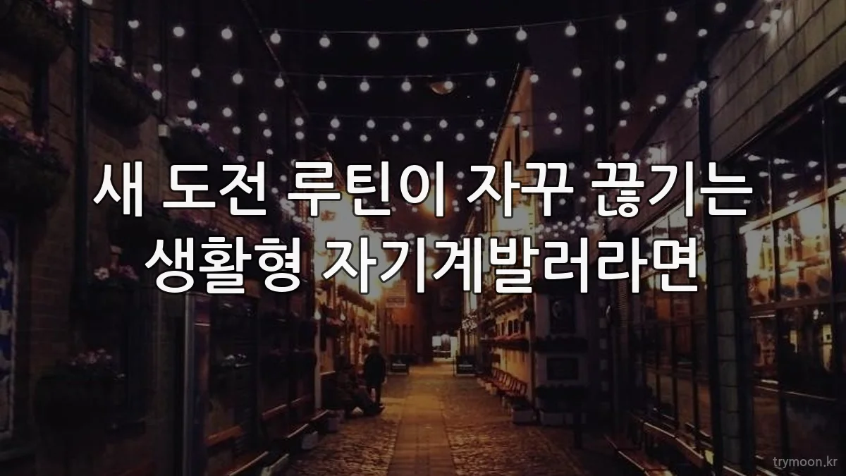 새 도전 루틴이 자꾸 끊기는 생활형 자기계발러라면