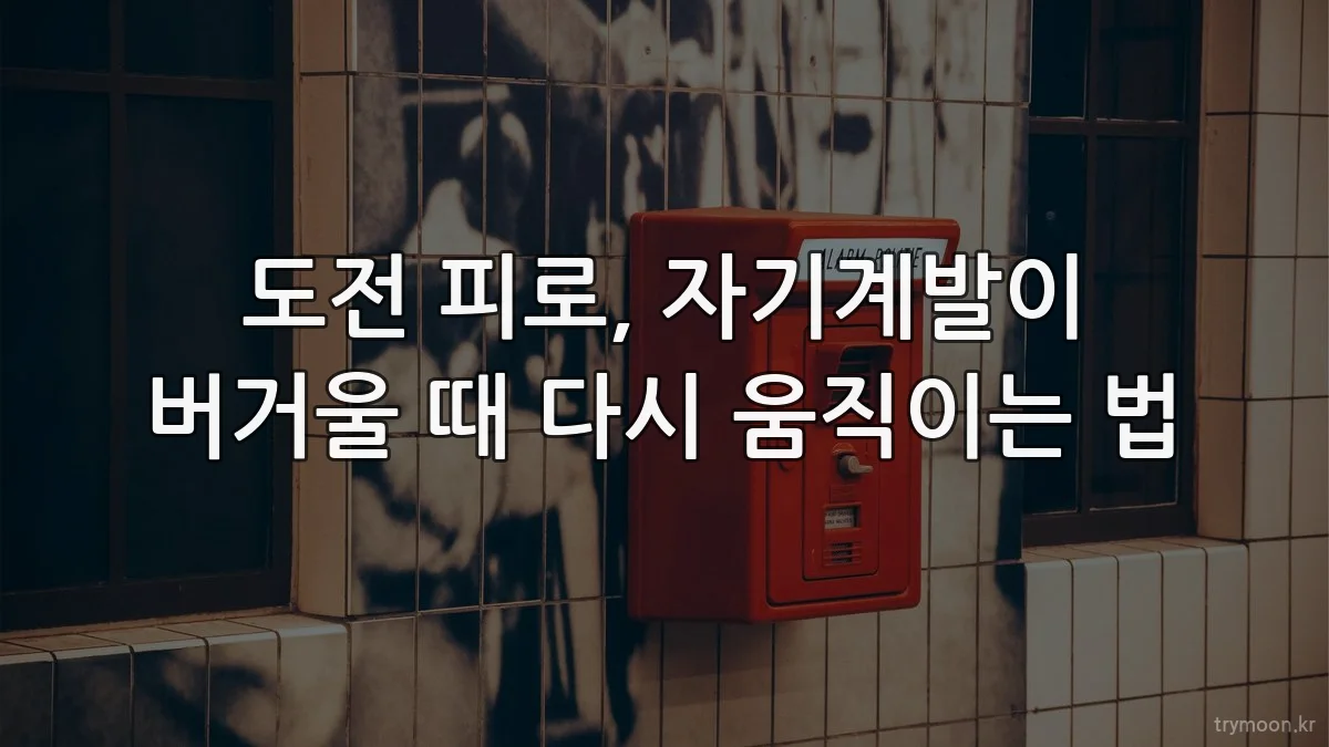 도전 피로, 자기계발이 버거울 때 다시 움직이는 법