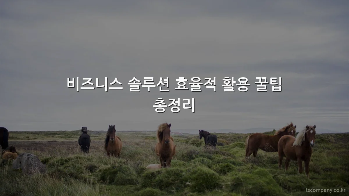 비즈니스 솔루션 효율적 활용 꿀팁 총정리