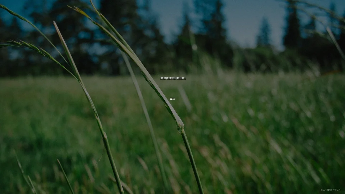 비즈니스 솔루션의 흔한 오류와 해결법 가이드