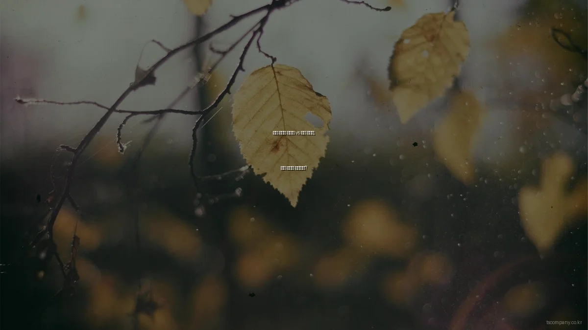 기업 맞춤형 솔루션 vs 범용 솔루션, 어떤 선택이 유리할까?