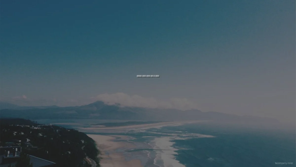 비즈니스 솔루션 숨겨진 활용 팁 총정리