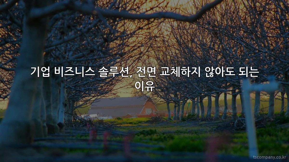 기업 비즈니스 솔루션, 전면 교체하지 않아도 되는 이유