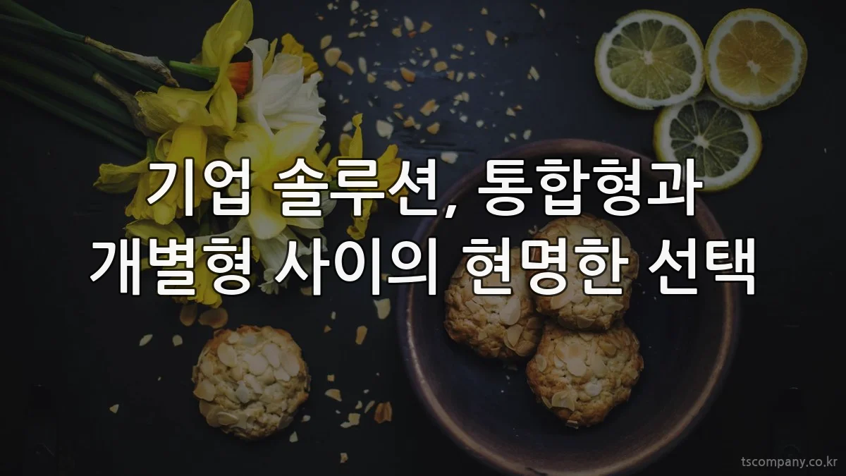 기업 솔루션, 통합형과 개별형 사이의 현명한 선택