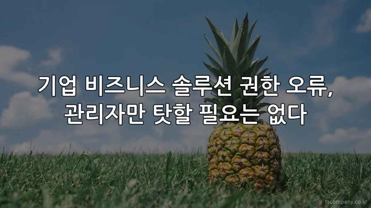 기업 비즈니스 솔루션 권한 오류, 관리자만 탓할 필요는 없다