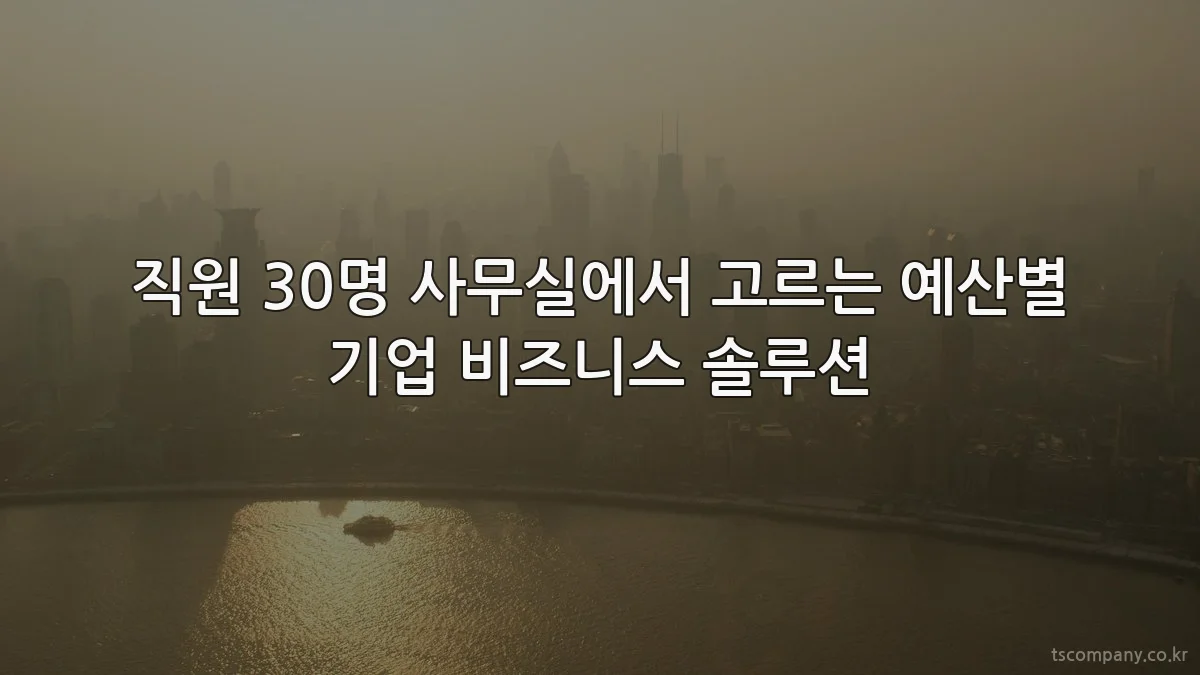 직원 30명 사무실에서 고르는 예산별 기업 비즈니스 솔루션