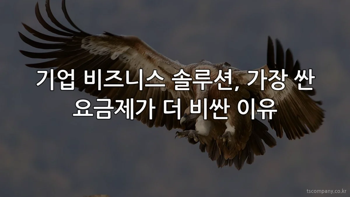 기업 비즈니스 솔루션, 가장 싼 요금제가 더 비싼 이유