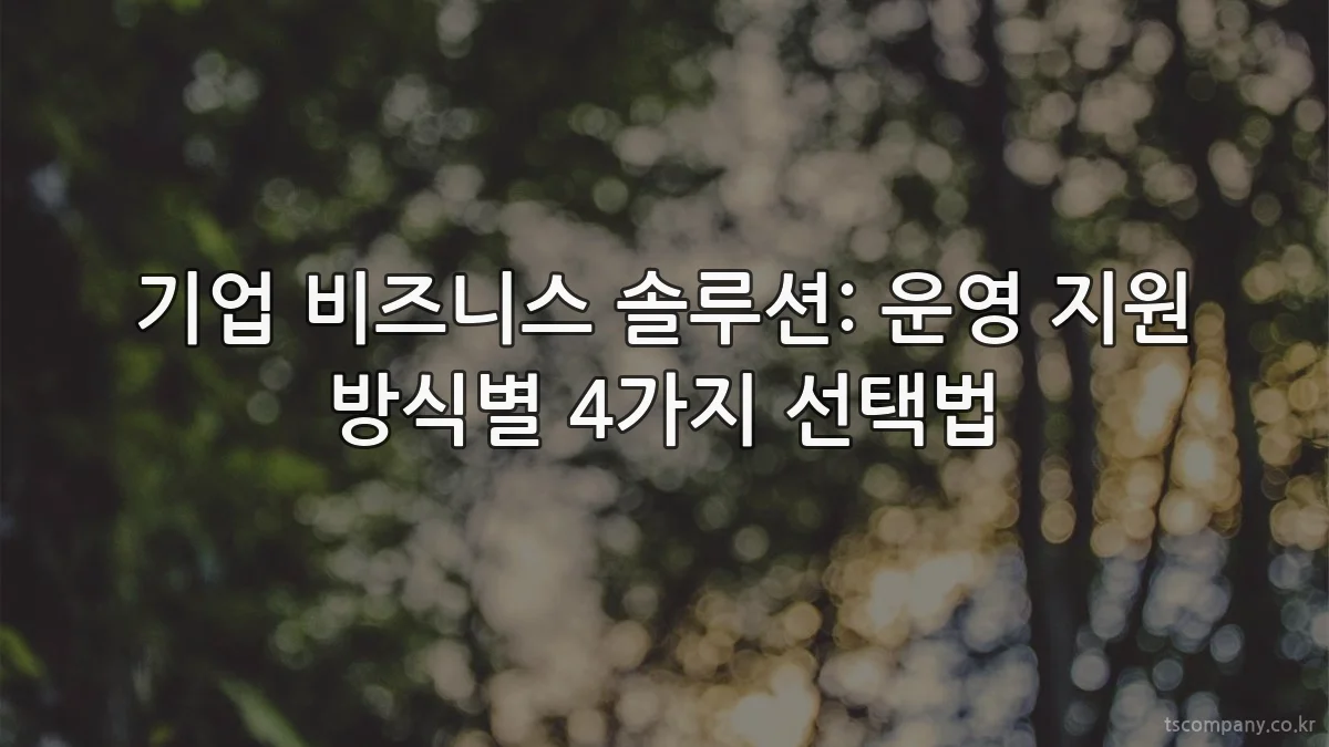 기업 비즈니스 솔루션: 운영 지원 방식별 4가지 선택법