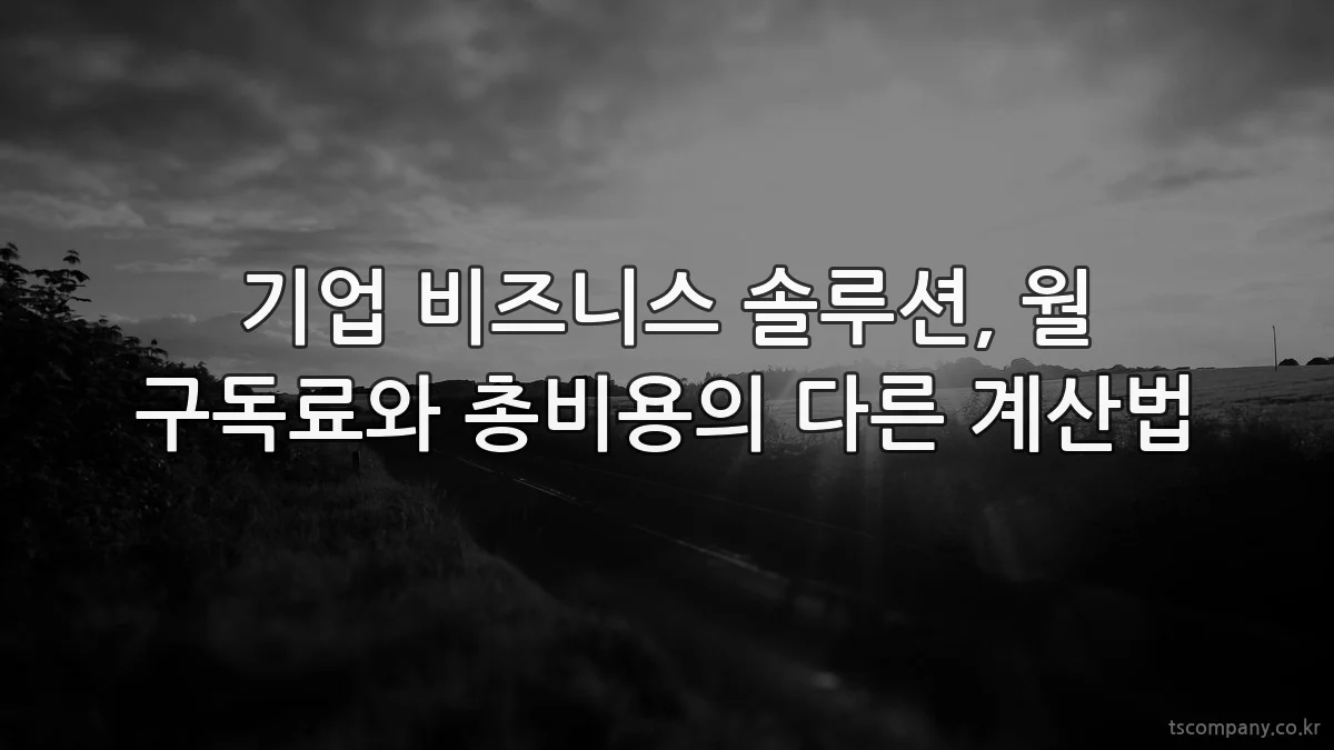기업 비즈니스 솔루션, 월 구독료와 총비용의 다른 계산법