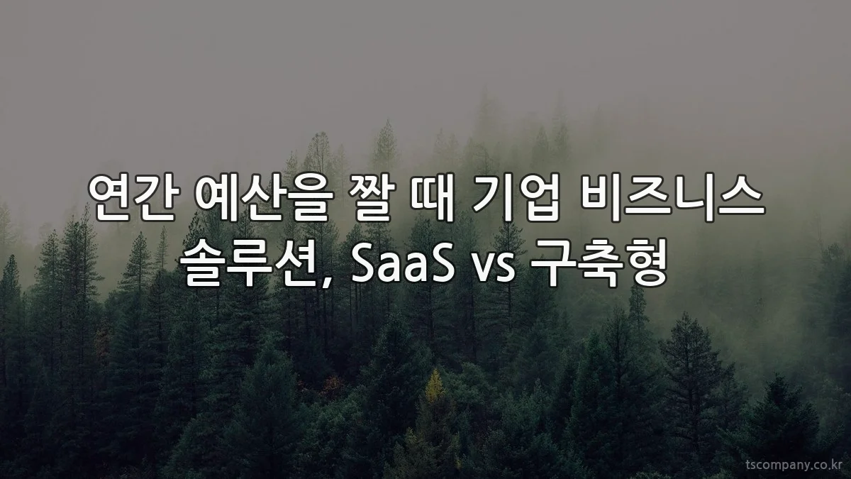 연간 예산을 짤 때 기업 비즈니스 솔루션, SaaS vs 구축형