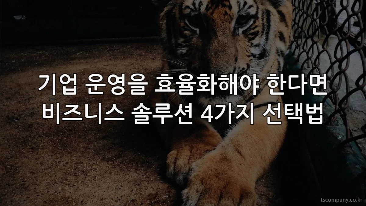 기업 운영을 효율화해야 한다면 비즈니스 솔루션 4가지 선택법