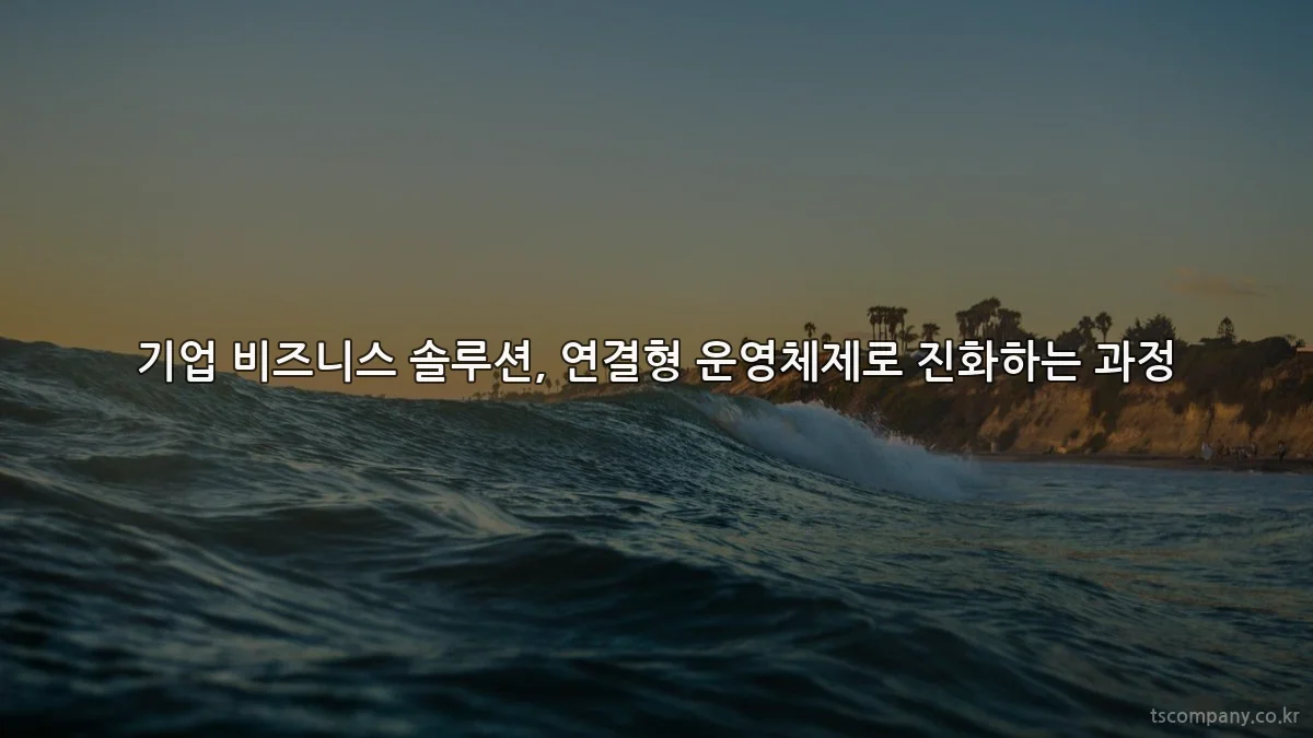 기업 비즈니스 솔루션, 연결형 운영체제로 진화하는 과정