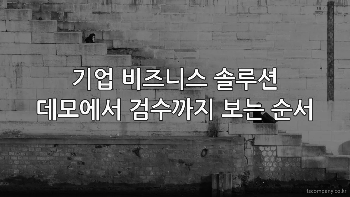 기업 비즈니스 솔루션 데모에서 검수까지 보는 순서