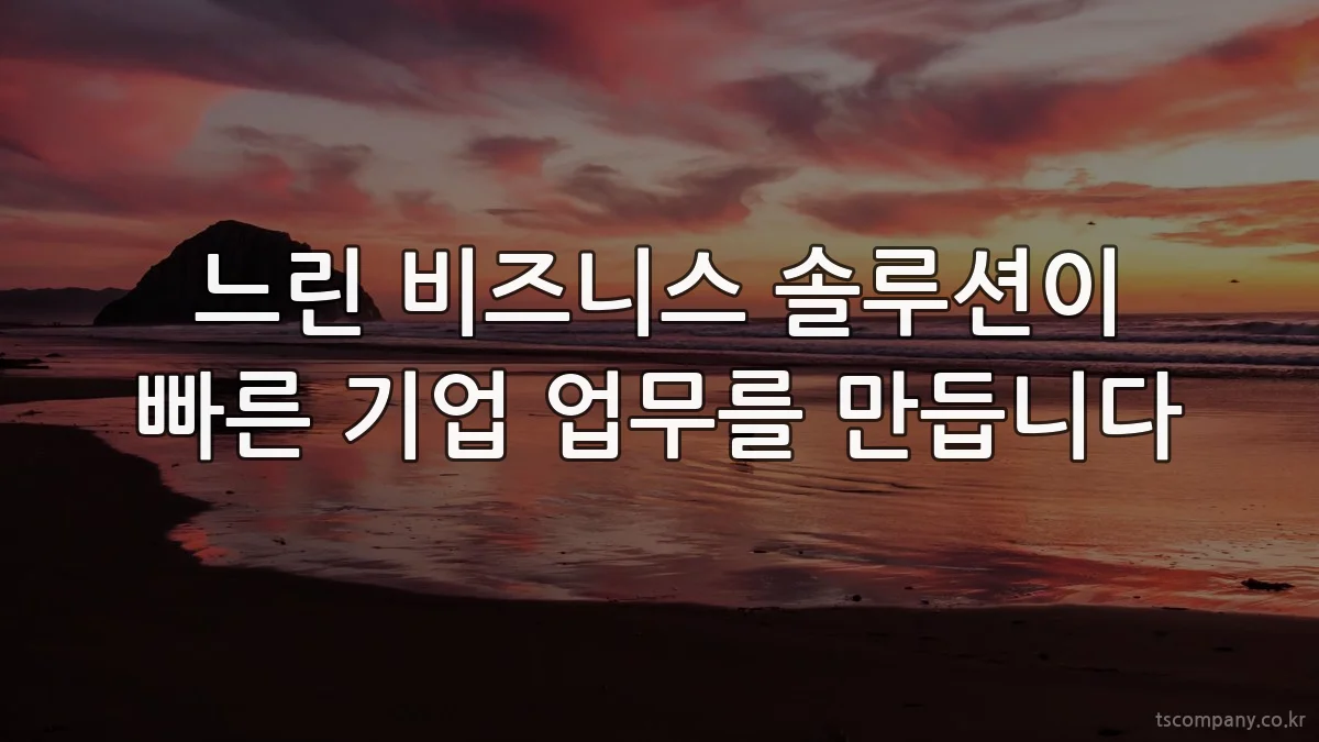 느린 비즈니스 솔루션이 빠른 기업 업무를 만듭니다