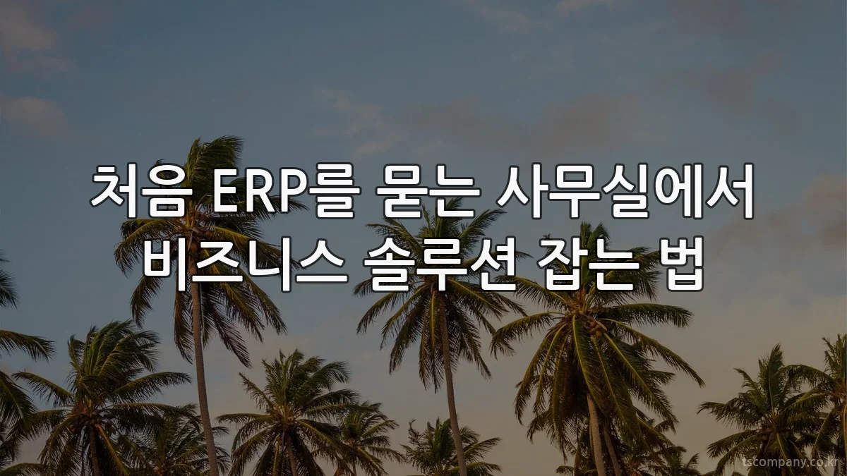 처음 ERP를 묻는 사무실에서 비즈니스 솔루션 잡는 법