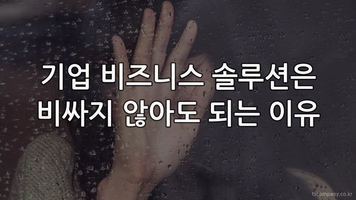 기업 비즈니스 솔루션은 비싸지 않아도 되는 이유
