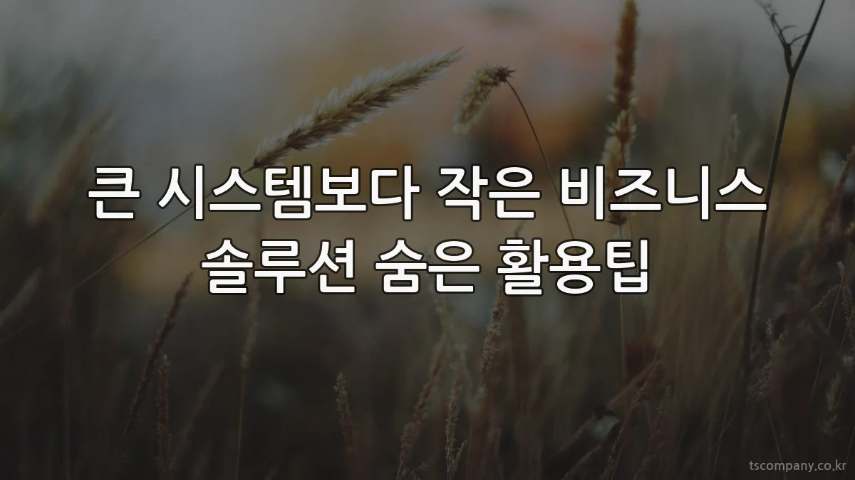 큰 시스템보다 작은 비즈니스 솔루션 숨은 활용팁