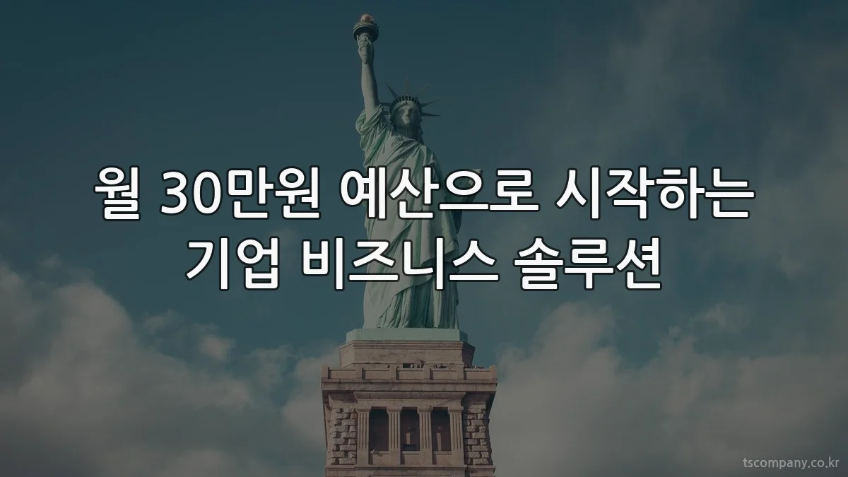 월 30만원 예산으로 시작하는 기업 비즈니스 솔루션