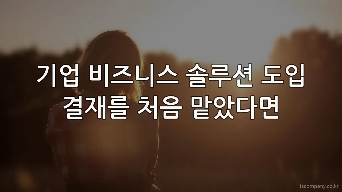 기업 비즈니스 솔루션 도입 결재를 처음 맡았다면