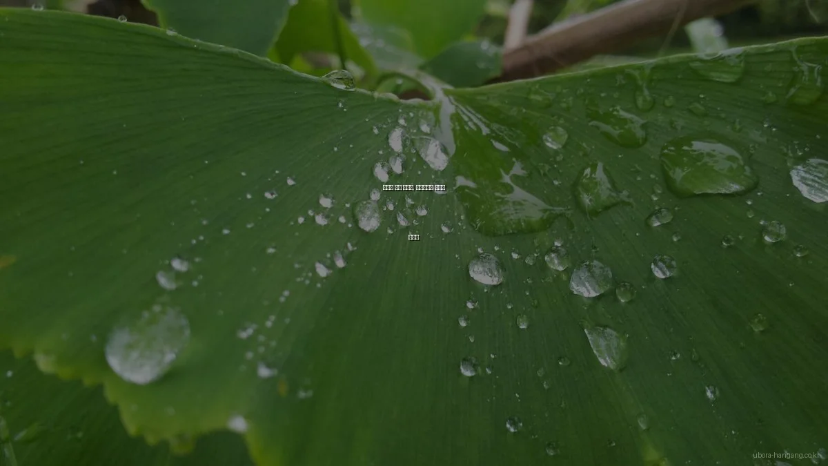 유보라 한강 아파트, 경쟁지와의 차별점 총정리