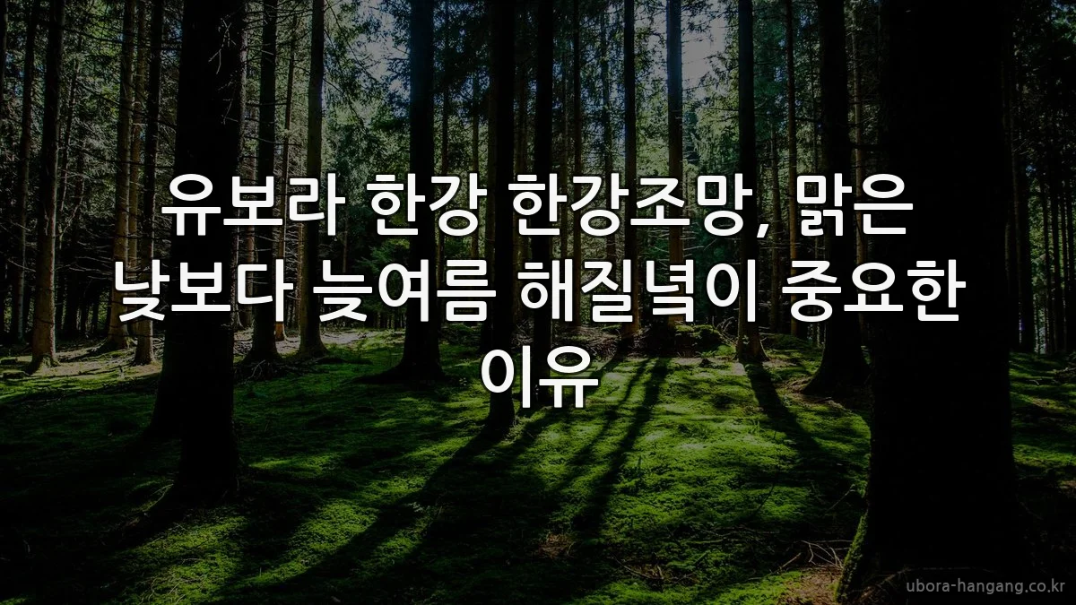 유보라 한강 한강조망, 맑은 낮보다 늦여름 해질녘이 중요한 이유
