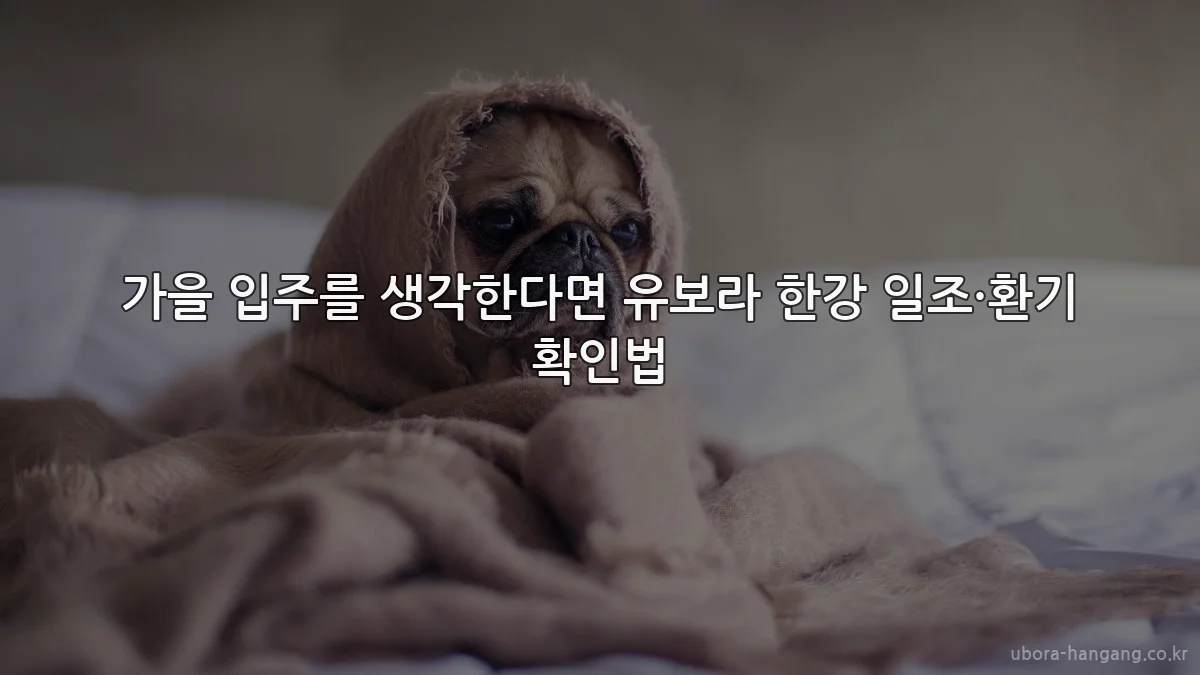 가을 입주를 생각한다면 유보라 한강 일조·환기 확인법